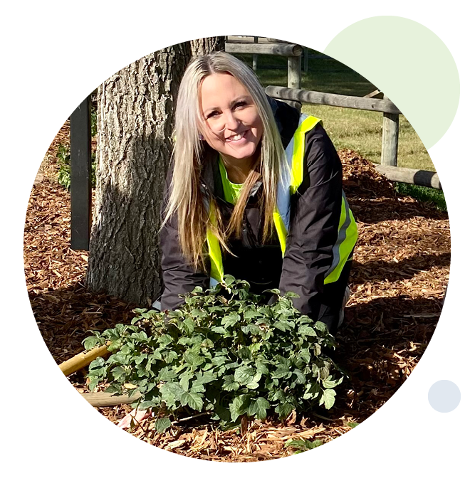 Innovation staff volunteer planting shrubs at GoGreen event