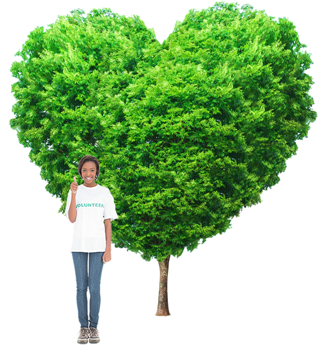 A volunteer standing in front of large tree in shape of heart
