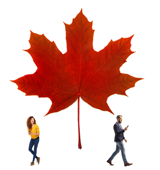 Large red maple leaf with people on cell phones walking 