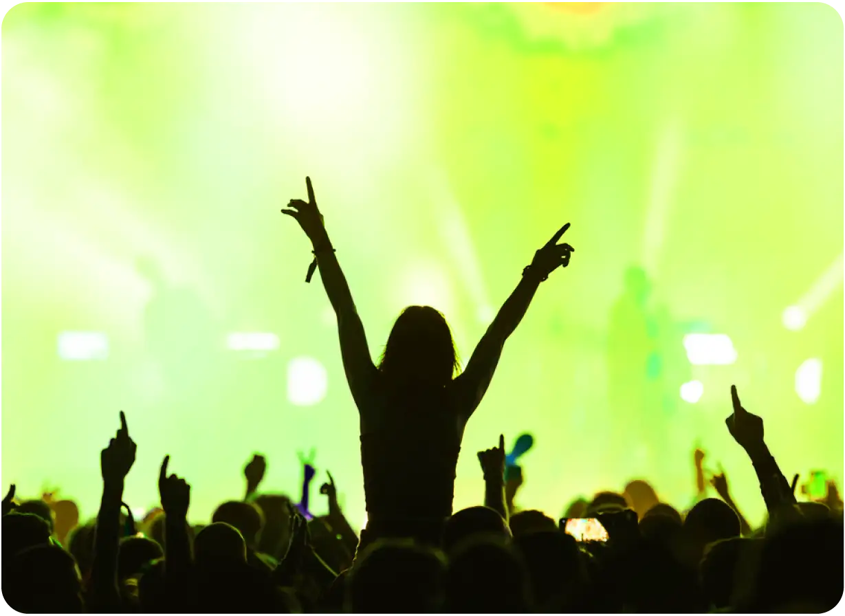 Concert Crowd