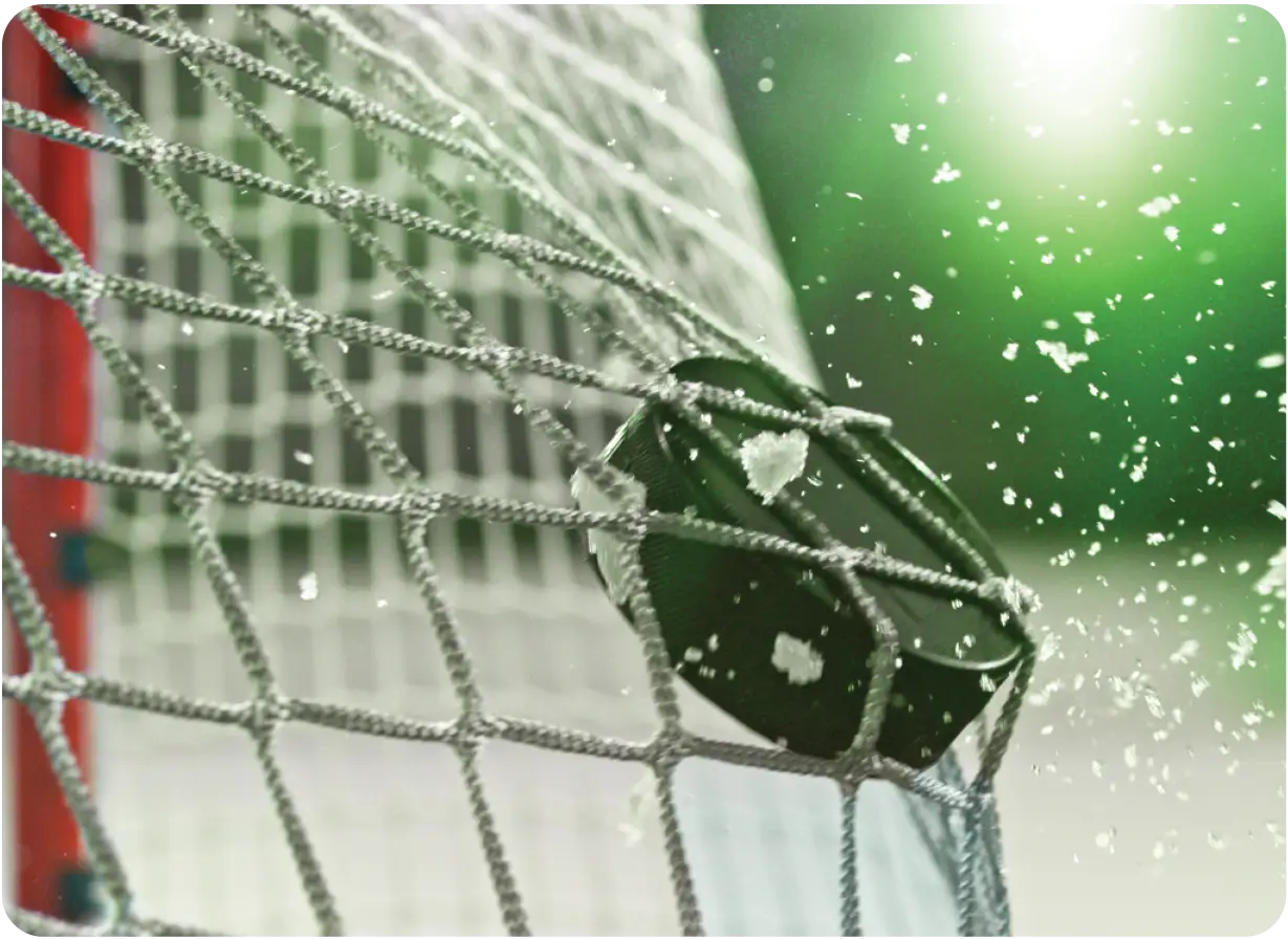 Hockey Puck in Net