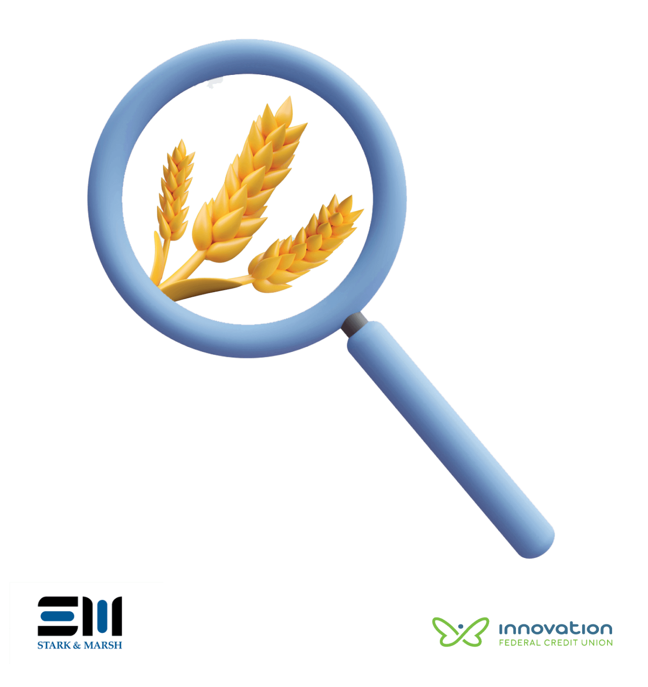 Wheat under a magnify glass. Stark & Mark and Innovation logos below.