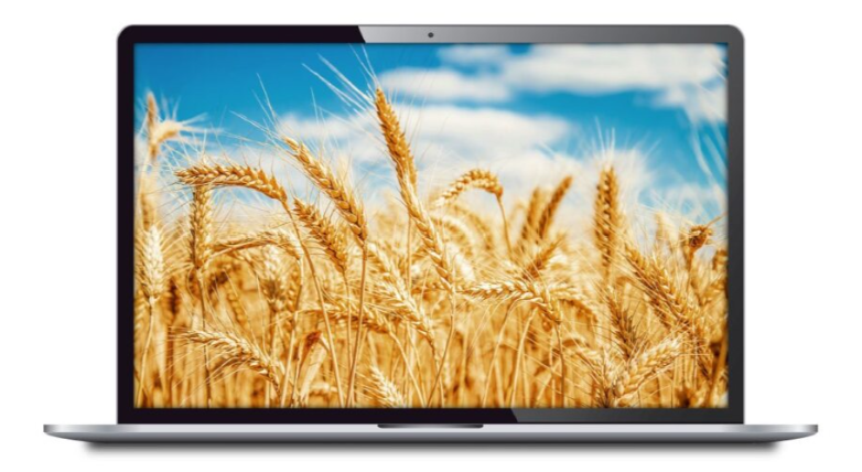 Digital agriculture concept