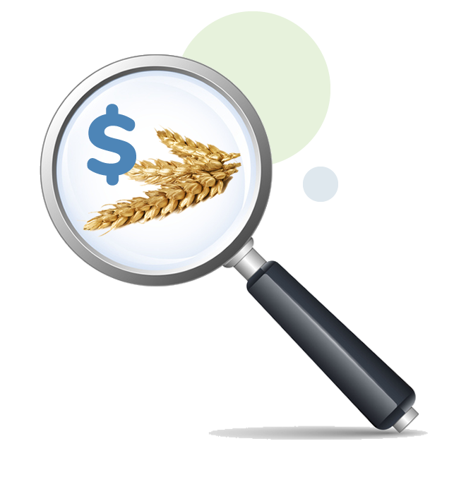 A magnify glass over wheat and a dollar sign