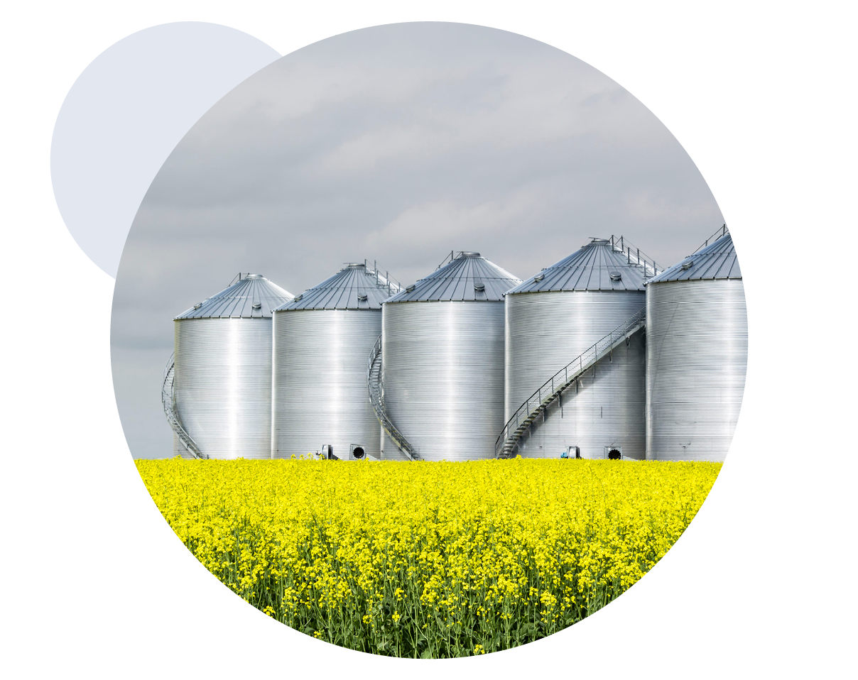 Grain bins in a mustard field