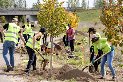 2025 GoGreen Volunteers