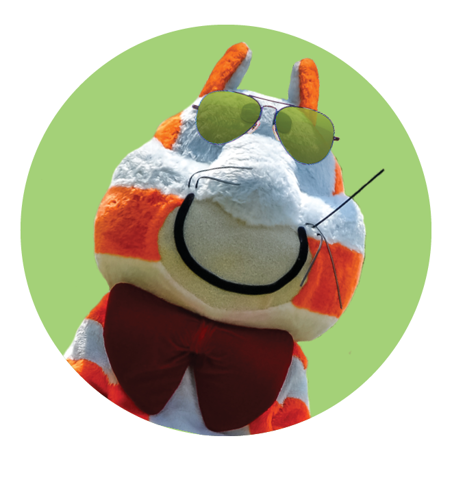 Fat Cat wearing sunglasses