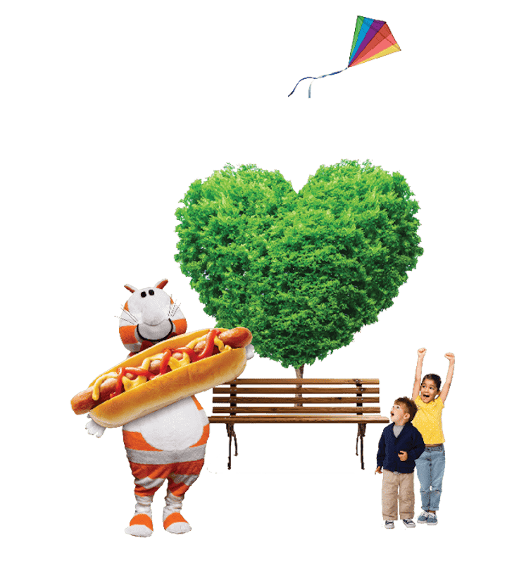 Fat Cat eating a large hot dog