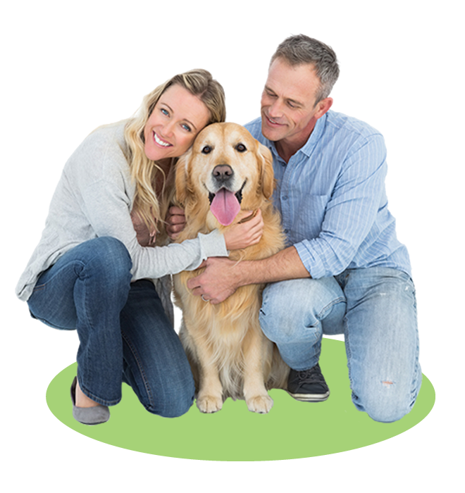 A couple hugging a golden retriever dog