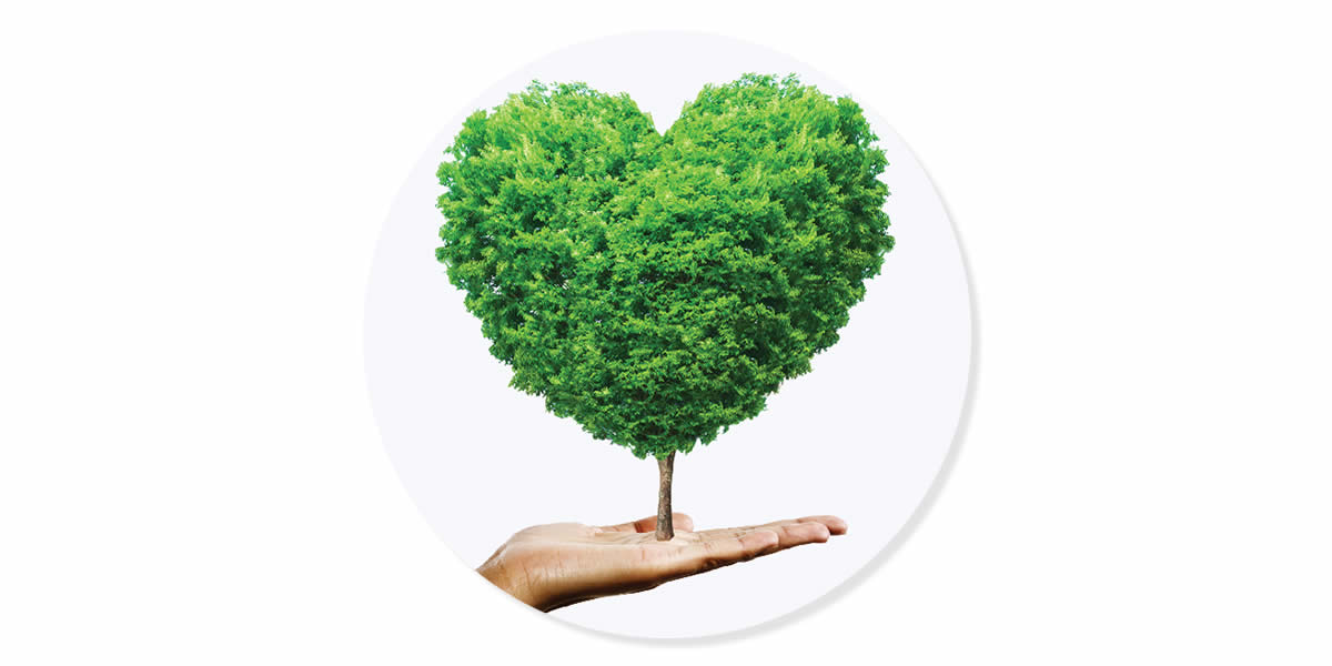 A hand holding a tree in the shape of a heart.