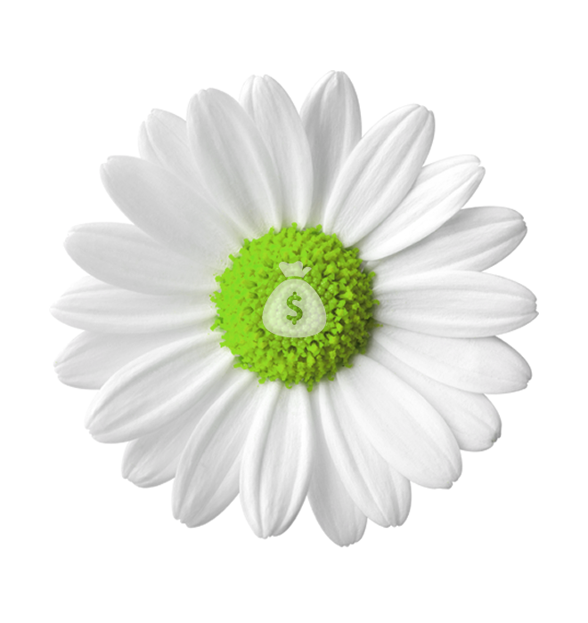 A daisy with a green center that has a money bag on it